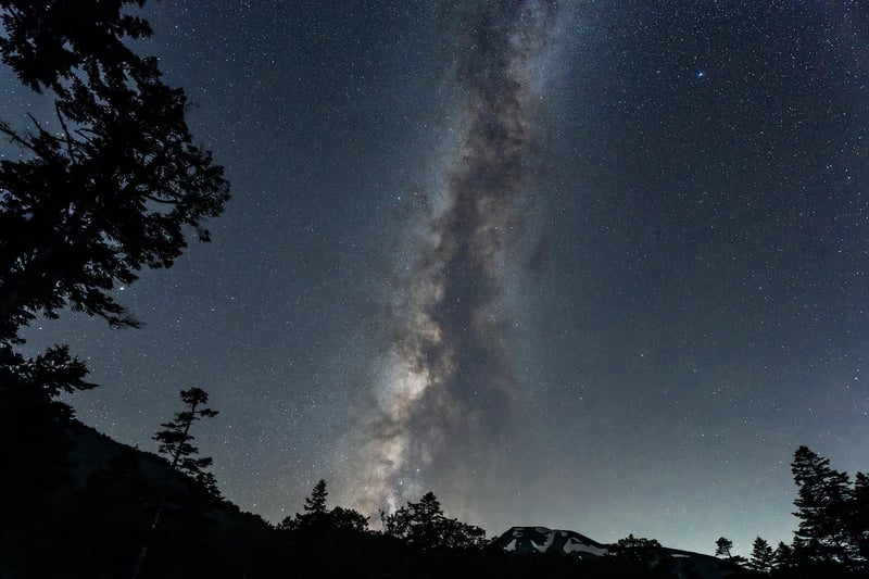 Starry Night Safari